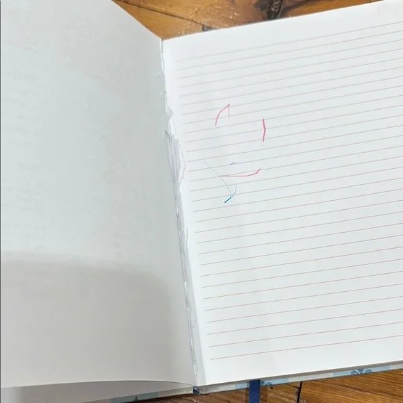 Disney Store Ratatouille A4 Journal Hard Back Large Lined Note Book Replica Remy - Picture 5 of 11